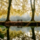 herbst-christiane-witt-fengshui-beratung-mathieu-odin-4PWEXNlnhbo-unsplash