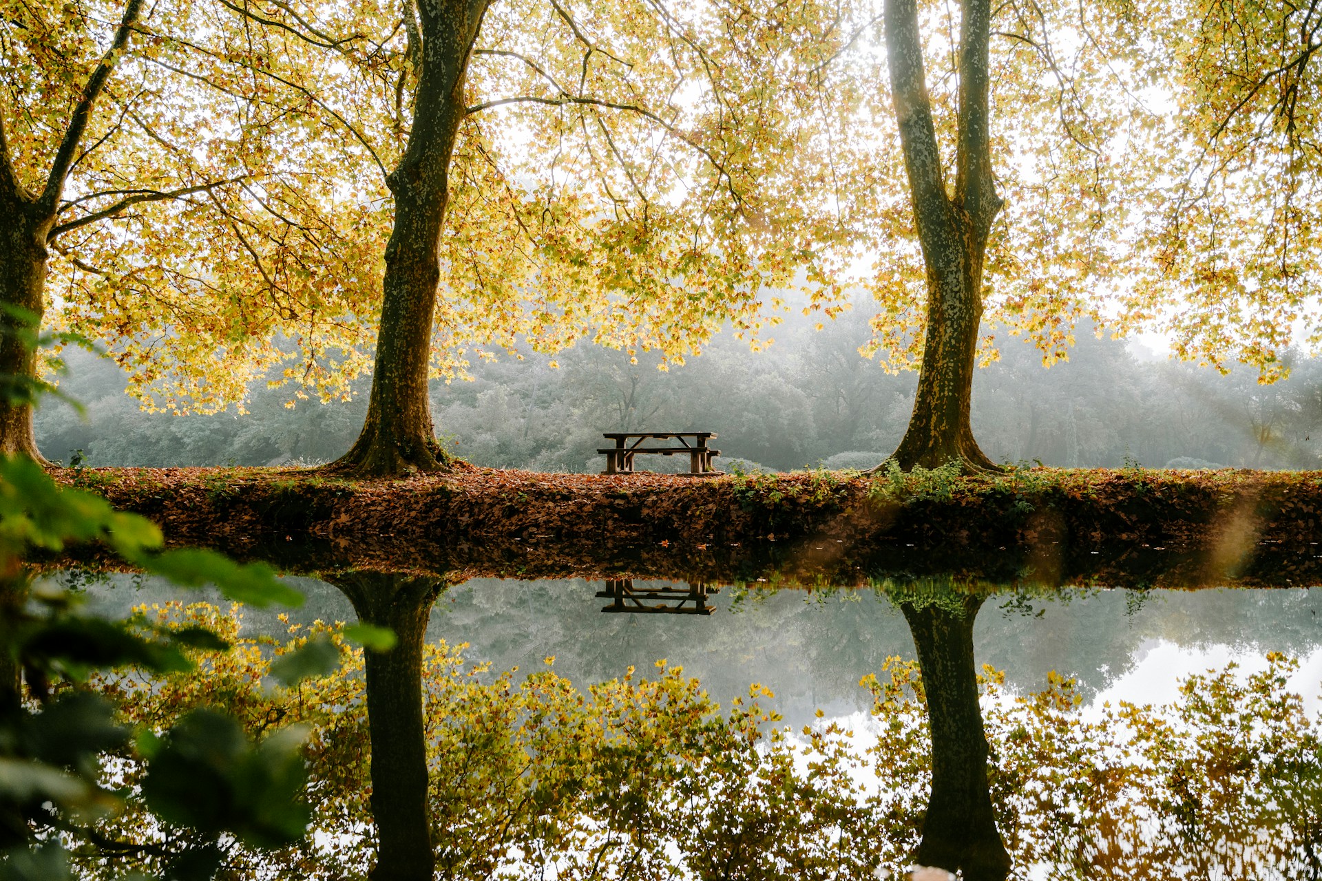 herbst-christiane-witt-fengshui-beratung-mathieu-odin-4PWEXNlnhbo-unsplash